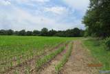 18.56 Acres New Clear Creek Road - Photo 2