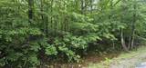 3 +/- Acres County Road 106 - Photo 48