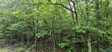 3 +/- Acres County Road 106 - Photo 49