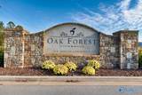344 Sandy Oak Drive - Photo 34