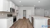 235 Crane Hollow Lane - Photo 11