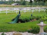 1396 County Road 446 - Photo 5