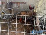 1346 County Road 11 - Photo 45