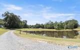 250 Son Johnson Road - Photo 44