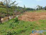 001 Brigadoon Drive - Photo 2