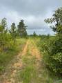 Tract 2 Tom Cat Road - Photo 11