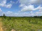 Tract 2 Tom Cat Road - Photo 12