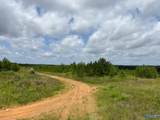 Tract 2 Tom Cat Road - Photo 16