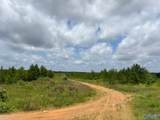 Tract 3 Tom Cat Road - Photo 15