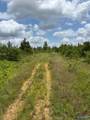 Tract 3 Tom Cat Road - Photo 17