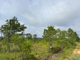 Tract 3 Tom Cat Road - Photo 3