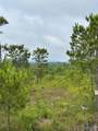 Tract 3 Tom Cat Road - Photo 6