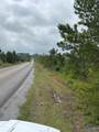 Tract 3 Tom Cat Road - Photo 9