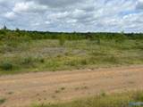 Tract 6 Tom Cat Road - Photo 18