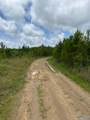 Tract 6 Tom Cat Road - Photo 19