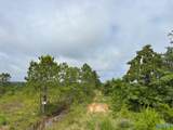 Tract 6 Tom Cat Road - Photo 5