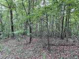 7 Bear Creek Trail - Photo 1