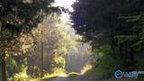 593 Sharps Hollow Road - Photo 36
