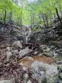 593 Sharps Hollow Road - Photo 38