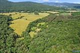 593 Sharps Hollow Road - Photo 44