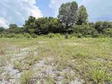 +/-3 ac Cox Avenue - Photo 7