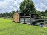 1170 County Road 233 - Photo 12