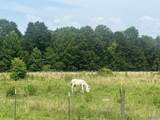 1170 County Road 233 - Photo 13
