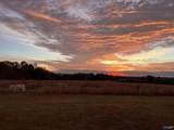 1170 County Road 233 - Photo 49