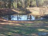 174 Pea Ridge Road - Photo 43
