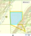 50 Acres Scenic Highway - Photo 15