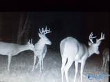 50 Acres Scenic Highway - Photo 18
