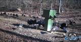 50 Acres Scenic Highway - Photo 21