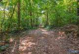 50 Acres Scenic Highway - Photo 3