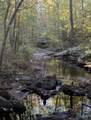 Lot Bear Creek Circle - Photo 1