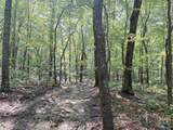 32 ac County Road 303 - Photo 10