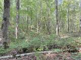 32 ac County Road 303 - Photo 11