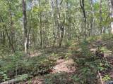 32 ac County Road 303 - Photo 12