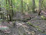 32 ac County Road 303 - Photo 13