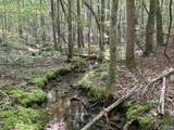 32 ac County Road 303 - Photo 14