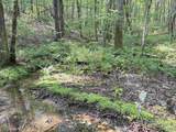 32 ac County Road 303 - Photo 16
