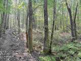 32 ac County Road 303 - Photo 20