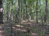 32 ac County Road 303 - Photo 22