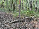 32 ac County Road 303 - Photo 24