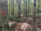32 ac County Road 303 - Photo 25