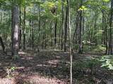 32 ac County Road 303 - Photo 26