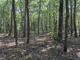 32 ac County Road 303 - Photo 27