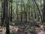 32 ac County Road 303 - Photo 28