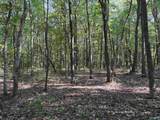 32 ac County Road 303 - Photo 29
