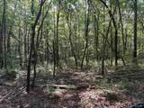 32 ac County Road 303 - Photo 30