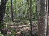 32 ac County Road 303 - Photo 31